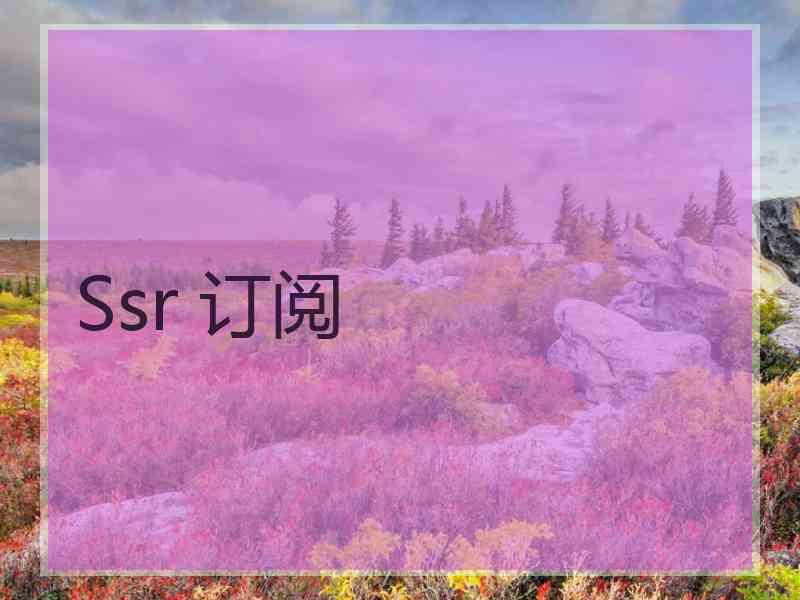 Ssr 订阅