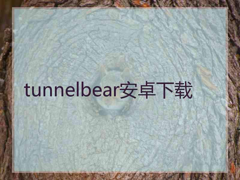 tunnelbear安卓下载