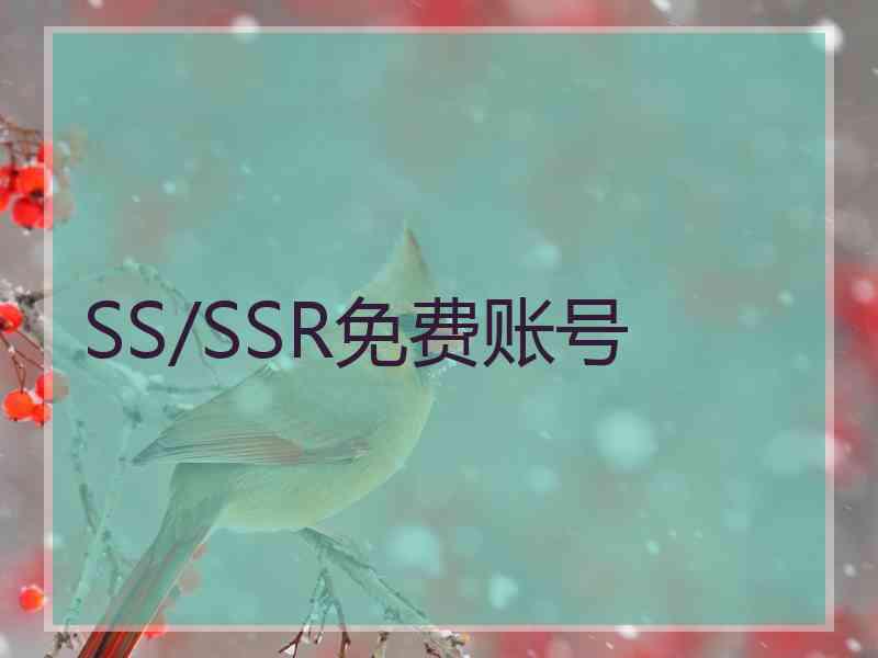 SS/SSR免费账号