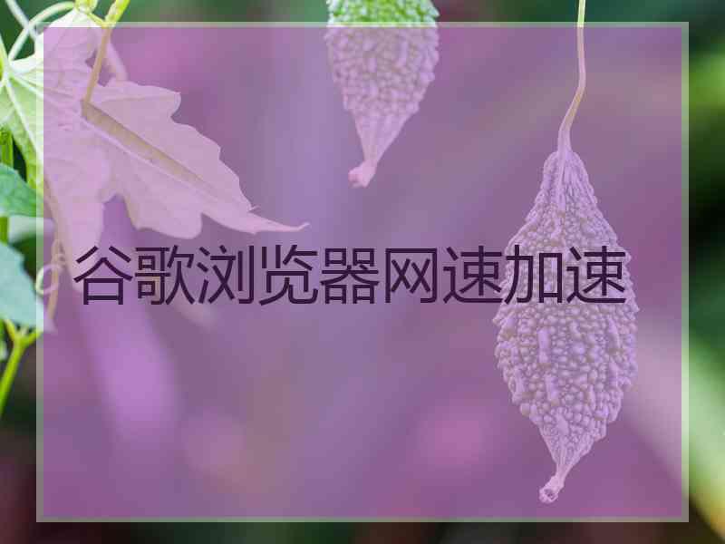 谷歌浏览器网速加速