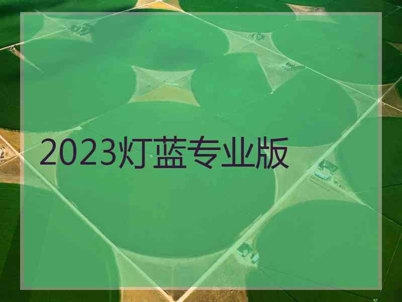 2023灯蓝专业版